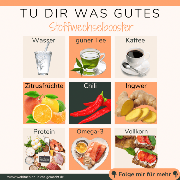 Anregungen für den Stoffwechsel