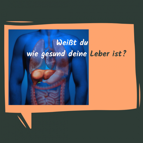 Lebergesundheit