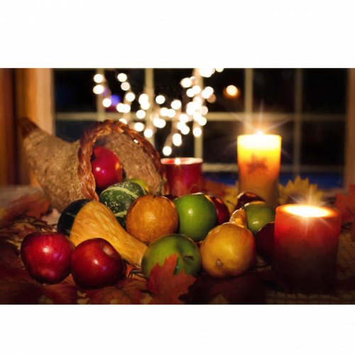 Mein Saisonkalender November