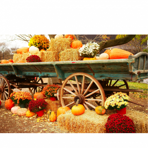 Mein Saisonkalender Oktober