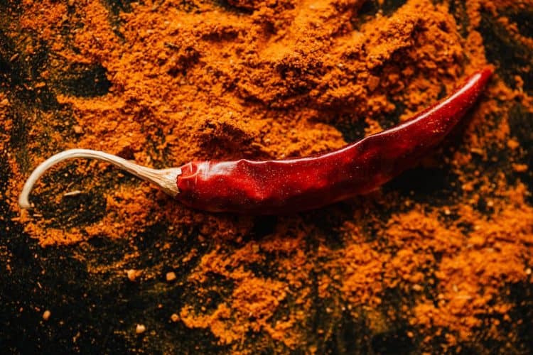 Red chilli pepper on powder of ground spices